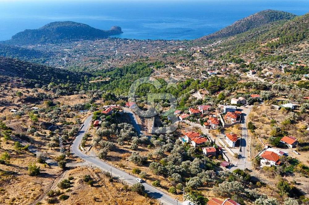 Datça Mesudiye'de Yolu Olan, Deniz Manzaralı Zeytinlik..