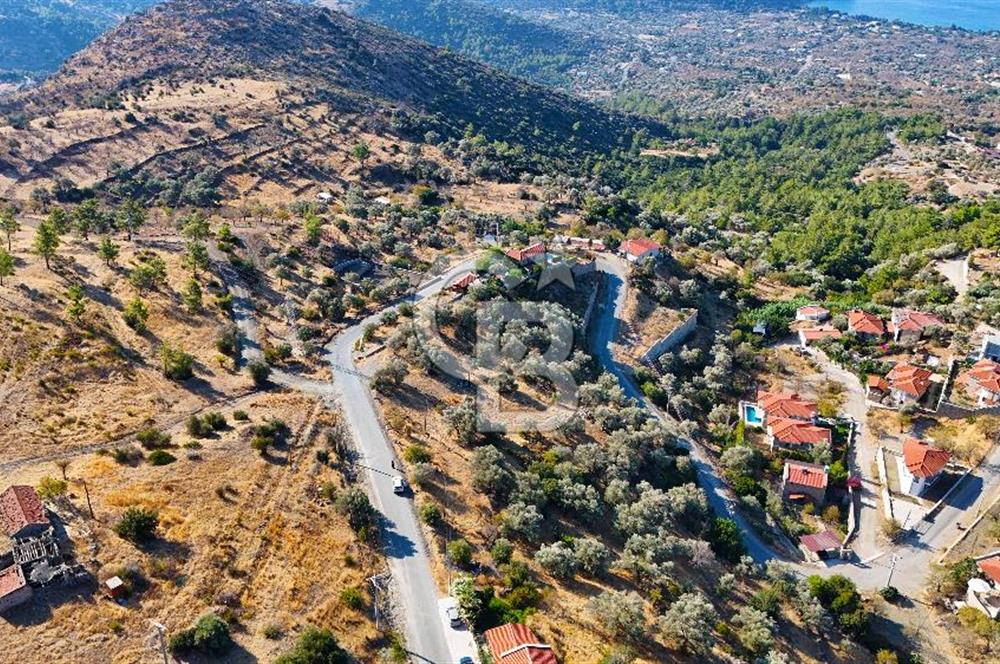 Datça Mesudiye'de Yolu Olan, Deniz Manzaralı Zeytinlik..