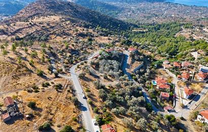 Datça Mesudiye'de Yolu Olan, Deniz Manzaralı Zeytinlik..