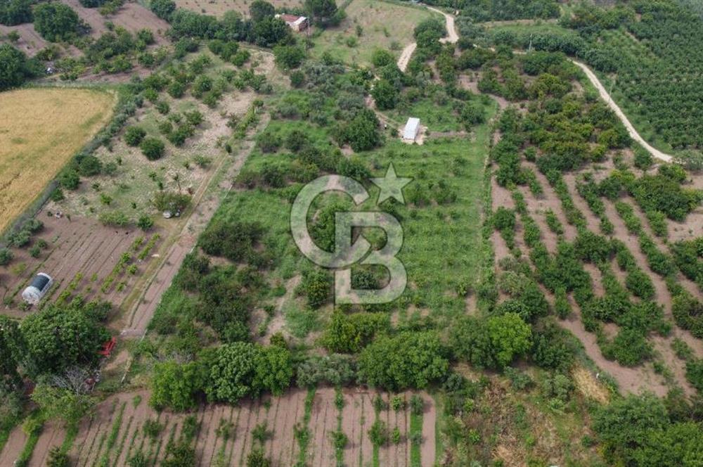 İzmir Kemalpaşa Yukarı Kızılca Merkez Satılık Bağ