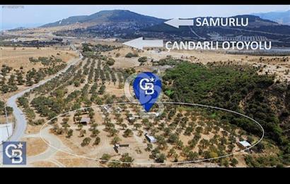 Samurlu'ya 1 Km. Bol Komşulu 217 m2 Satılık Zeytinli Hisse