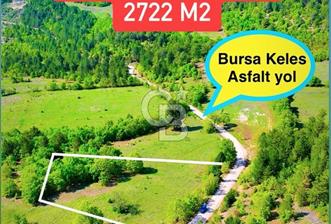 ASFALT YOLA CEPHE 2.722 m2 YATIRIMLIK ARAZİ