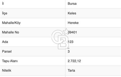 ASFALT YOLA CEPHE 2.722 m2 YATIRIMLIK ARAZİ