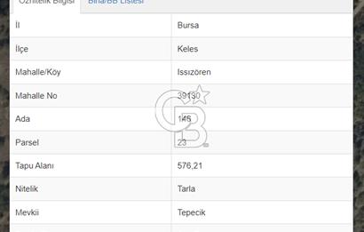576 m2 İMAR SINIRINDA KUPON TARLA