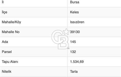 1534 m2 İMAR SINIRINDA KUPON TARLA