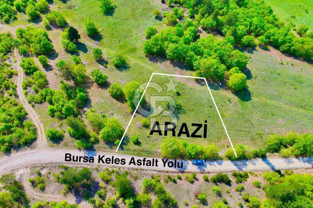 ASFALT YOLA CEPHE 2.722 m2 YATIRIMLIK ARAZİ