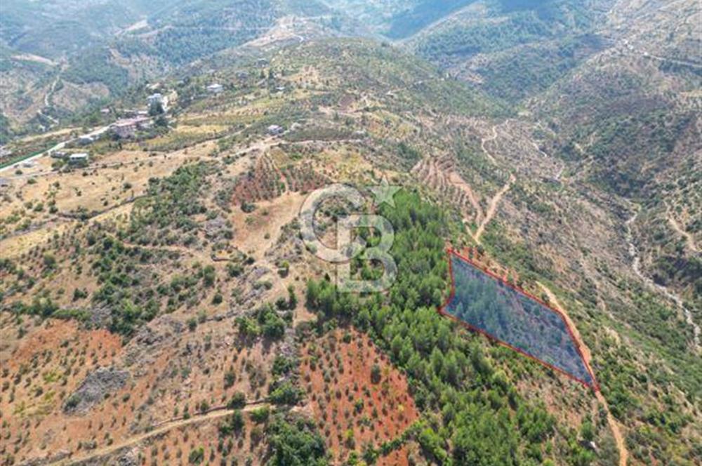 CB'DEN FATMALI'DA MANZARALI FIRSAT SATILIK BAĞ & BAHÇE