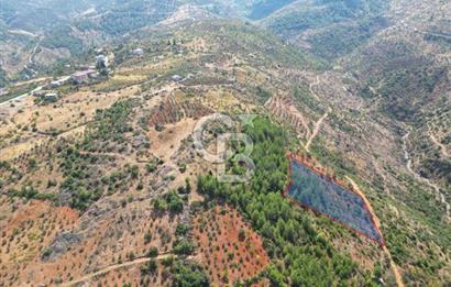 CB'DEN FATMALI'DA MANZARALI FIRSAT SATILIK BAĞ & BAHÇE