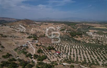 ÇANDARLI MAVİKENT BÖLGESİNDE HARİKA KONUMLU SATILIK İMARLI ARSA