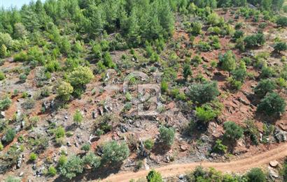 CB'DEN FATMALI'DA MANZARALI FIRSAT SATILIK BAĞ & BAHÇE