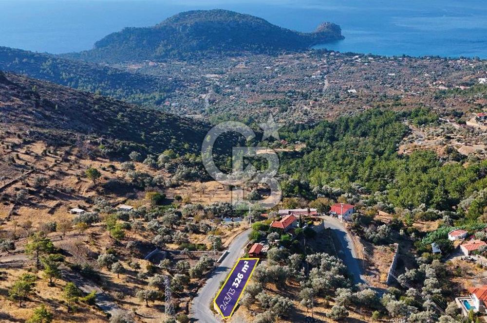 Datça Mesudiye'de Taş Duvarla Çevrili, Deniz Manzaralı Zeytinlik