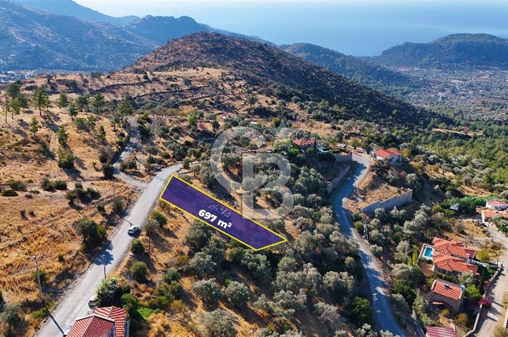 Mesudiye'de Ana Yola Cepheli, Deniz Manzaralı Zeytinlik..