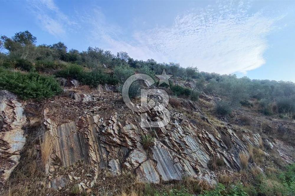  Bayındır Ergenli' de İmarlı, Yan Yana 2 Adet  Arsa Satılık