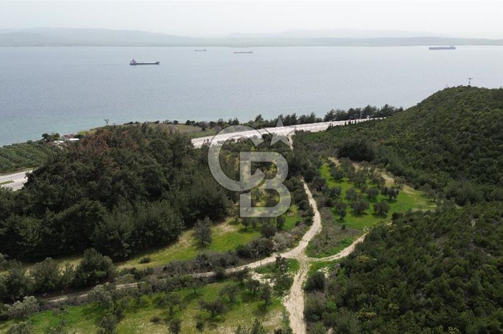 FIRSAT! ECEABAT YALOVA KÖYÜNDE DENİZE SIFIR 18.363m2 ARAZİ