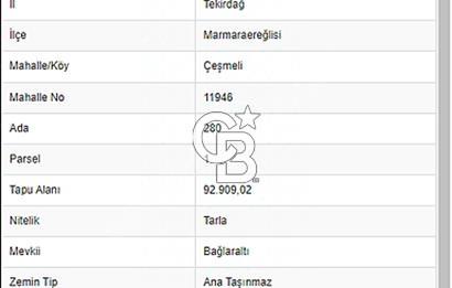 ÇEŞMELİDE DENİZE YAKIN SATILIK 290M2 TARLA