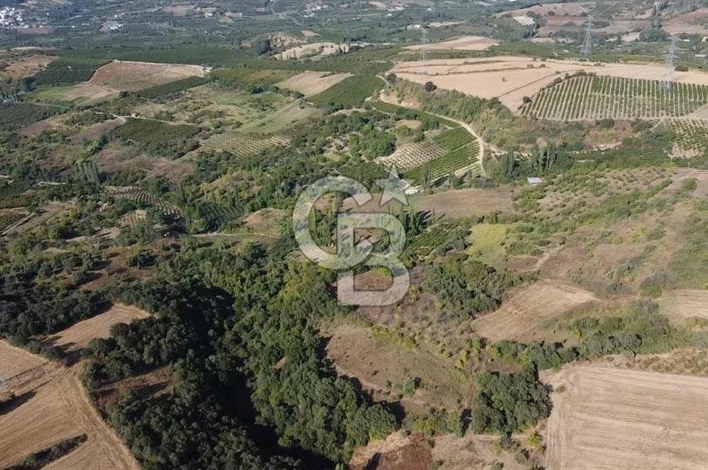 ÇANAKKALE LAPSEKİ BOĞAZ GÖREN 10 DÖNÜM SATILIK TARLA