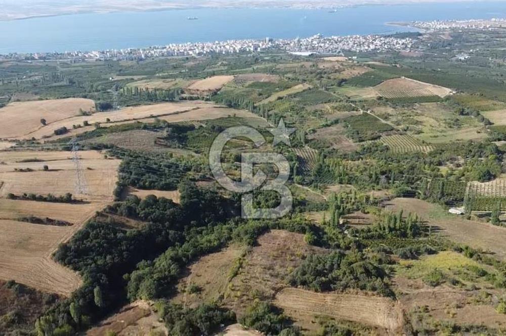 ÇANAKKALE LAPSEKİ BOĞAZ GÖREN 10 DÖNÜM SATILIK TARLA