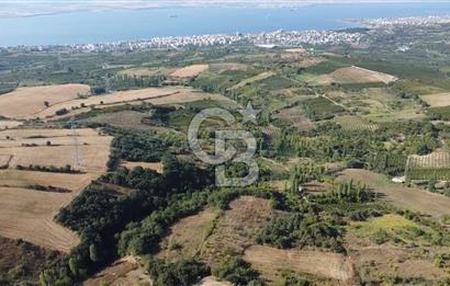 ÇANAKKALE LAPSEKİ BOĞAZ GÖREN 10 DÖNÜM SATILIK TARLA