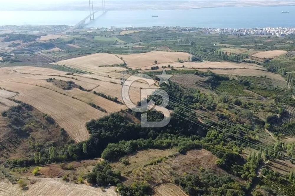 ÇANAKKALE LAPSEKİ BOĞAZ GÖREN 10 DÖNÜM SATILIK TARLA