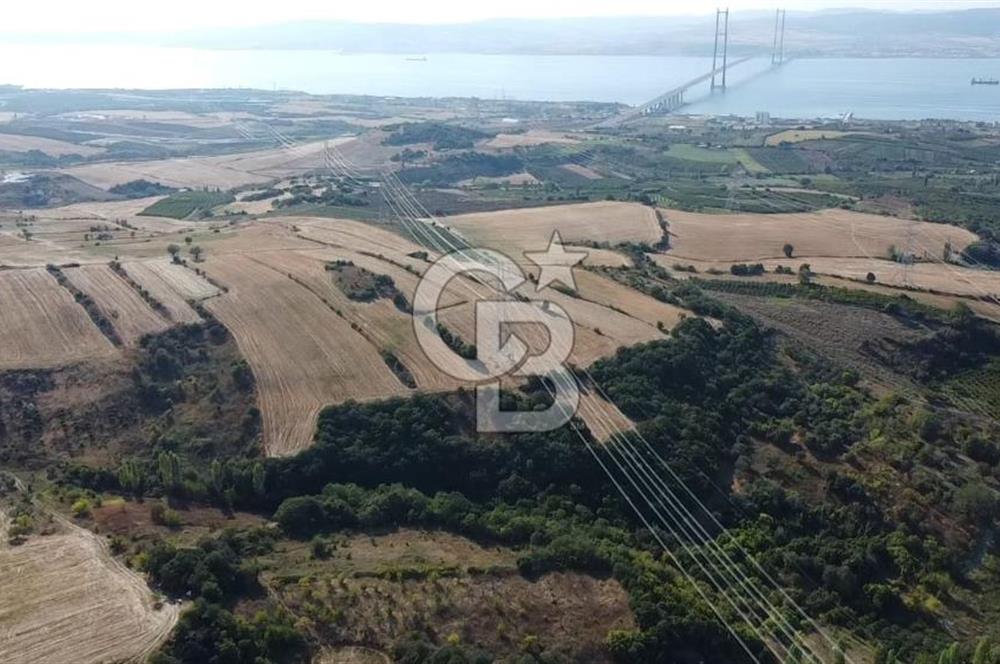 ÇANAKKALE LAPSEKİ BOĞAZ GÖREN 10 DÖNÜM SATILIK TARLA