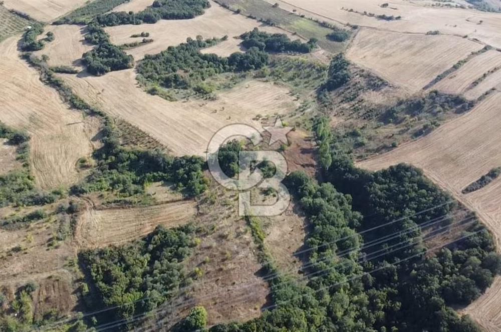 ÇANAKKALE LAPSEKİ BOĞAZ GÖREN 10 DÖNÜM SATILIK TARLA