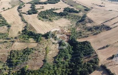 ÇANAKKALE LAPSEKİ BOĞAZ GÖREN 10 DÖNÜM SATILIK TARLA