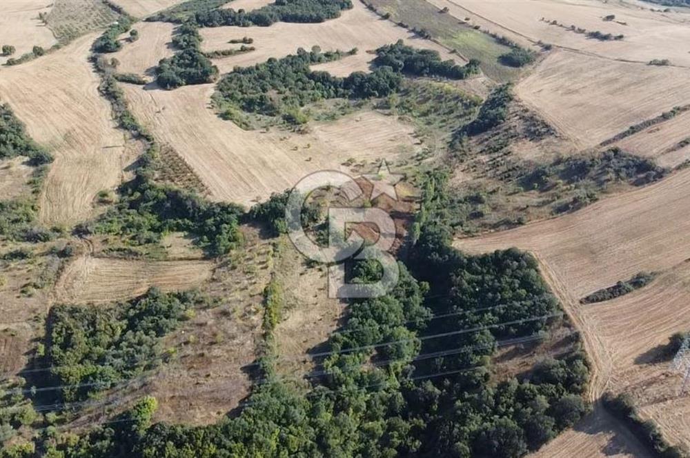 ÇANAKKALE LAPSEKİ BOĞAZ GÖREN 10 DÖNÜM SATILIK TARLA