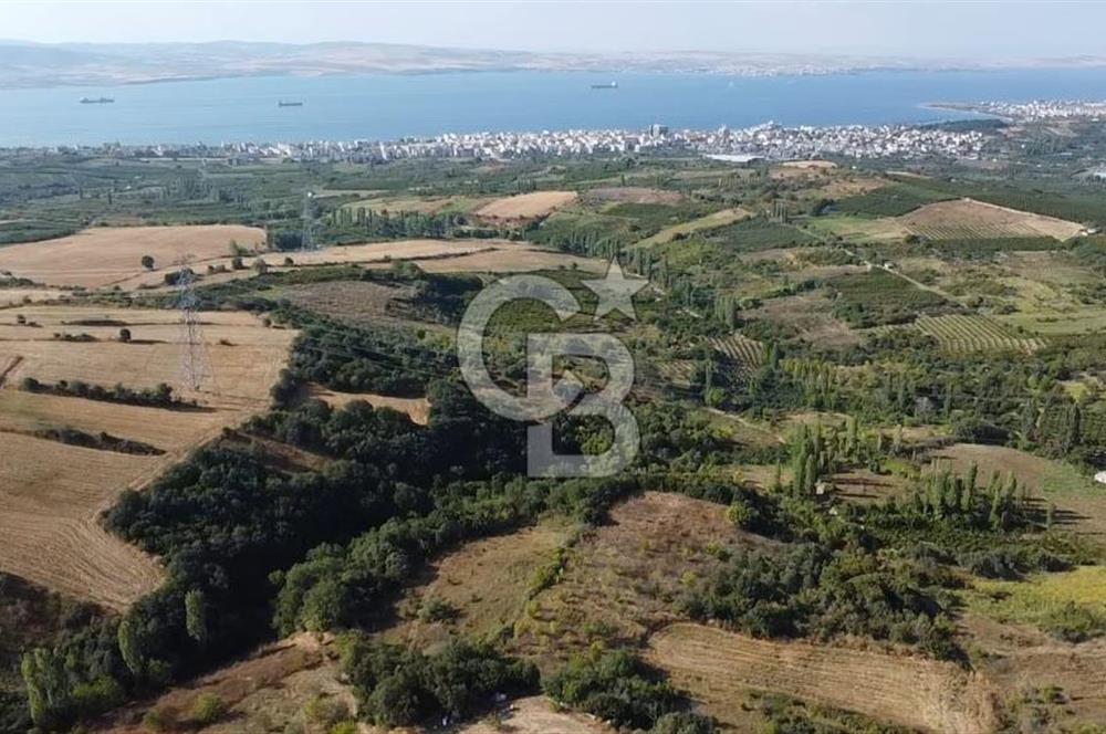 ÇANAKKALE LAPSEKİ BOĞAZ GÖREN 10 DÖNÜM SATILIK TARLA