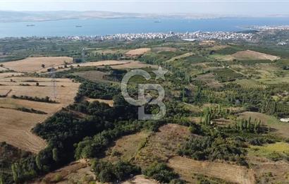 ÇANAKKALE LAPSEKİ BOĞAZ GÖREN 10 DÖNÜM SATILIK TARLA