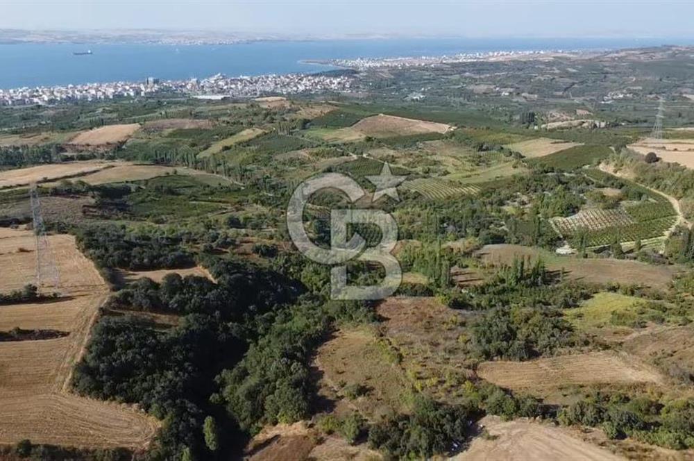 ÇANAKKALE LAPSEKİ BOĞAZ GÖREN 10 DÖNÜM SATILIK TARLA