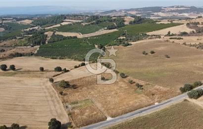 ÇANAKKALE YAPILDAK KÖYÜ SATILIK KOOPERATİF HİSSESİ