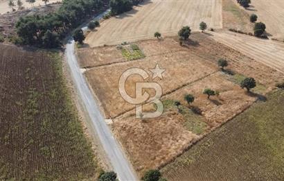 ÇANAKKALE YAPILDAK KÖYÜ SATILIK KOOPERATİF HİSSESİ