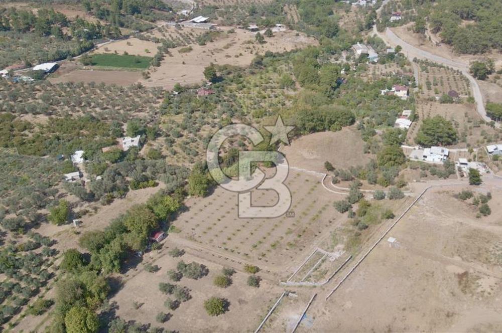 Kemalpaşa-Nazarköy'de Gölete Çok Yakın,Dere Kenarı Satılık 9.5 Dönüm Bağ