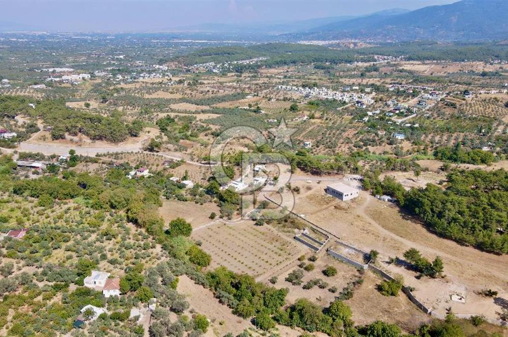 Kemalpaşa-Nazarköy'de Gölete Çok Yakın,Dere Kenarı Satılık 9.5 Dönüm Bağ