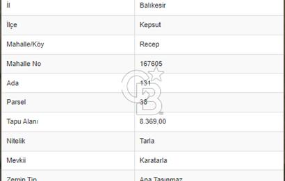 BALIKESİR KEPSUT RECEPKÖY'DE SATILIK TARLA