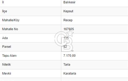 BALIKESİR KEPSUT RECEPKÖY'DE SATILIK TARLA