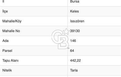 442 m2 Bursa Keles Issızören'de Satılık Tarla