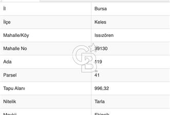 Bursa Keles 996 M2 Issızören'de Yatırımlık Tarla