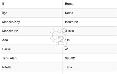 Bursa Keles 996 M2 Issızören'de Yatırımlık Tarla