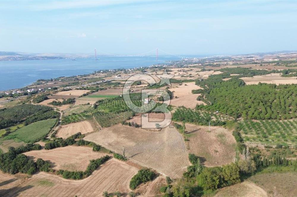 ÇANAKKALE LAPSEKİ KEMİKALAN KÖYÜ SATILIK VERİMLİ TARLA