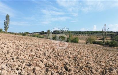 ÇANAKKALE LAPSEKİ KEMİKALAN KÖYÜ SATILIK VERİMLİ TARLA