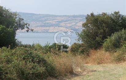 ÇANAKKALE LAPSEKİ KEMİKALAN KÖYÜ SATILIK VERİMLİ TARLA