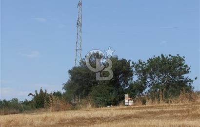 ÇANAKKALE LAPSEKİ KEMİKALAN KÖYÜ SATILIK VERİMLİ TARLA