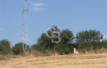 ÇANAKKALE LAPSEKİ KEMİKALAN KÖYÜ SATILIK VERİMLİ TARLA