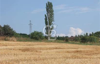 ÇANAKKALE LAPSEKİ KEMİKALAN KÖYÜ SATILIK VERİMLİ TARLA