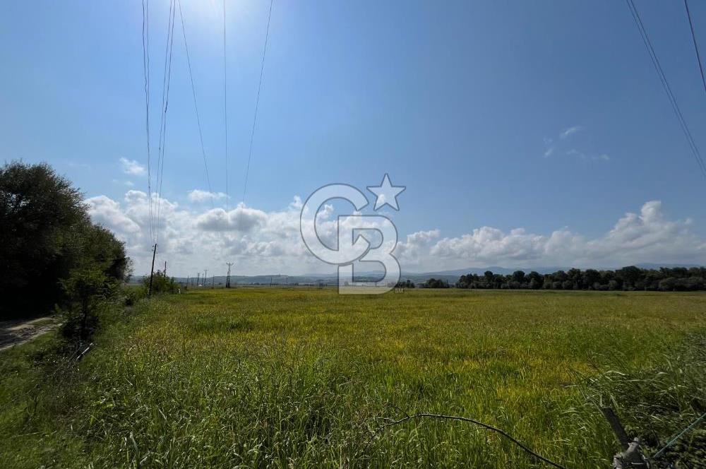 Alaçam Toplu Mahallesi'nde Satılık 17.100 m² Tarla