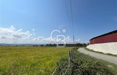 Alaçam Toplu Mahallesi'nde Satılık 17.100 m² Tarla