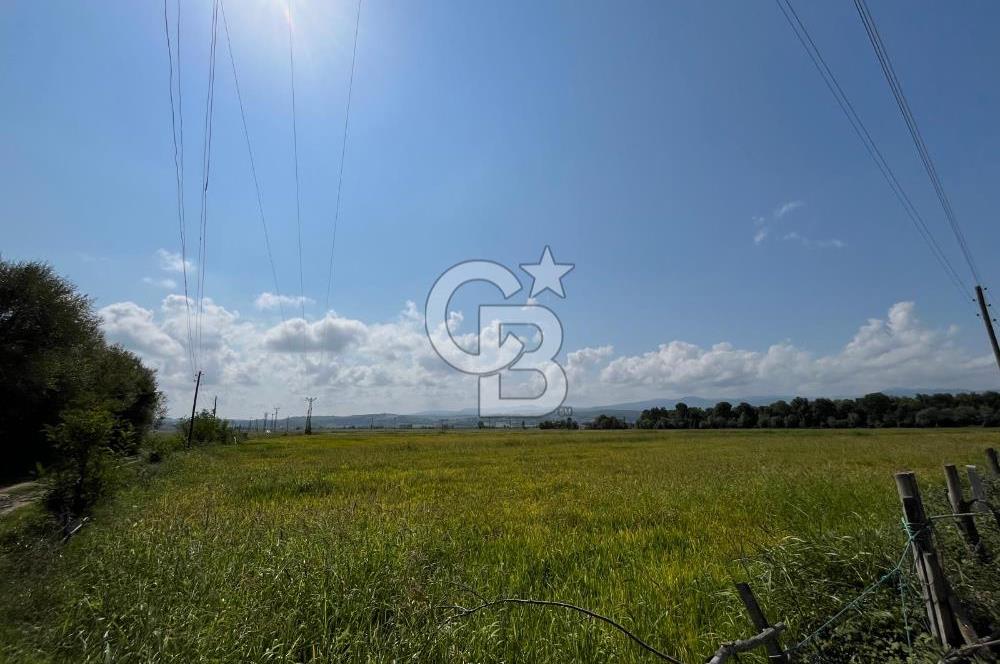 Alaçam Toplu Mahallesi'nde Satılık 17.100 m² Tarla