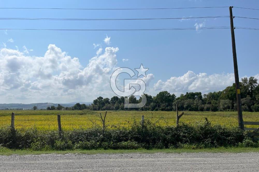 Alaçam Toplu Mahallesi'nde Satılık 17.100 m² Tarla