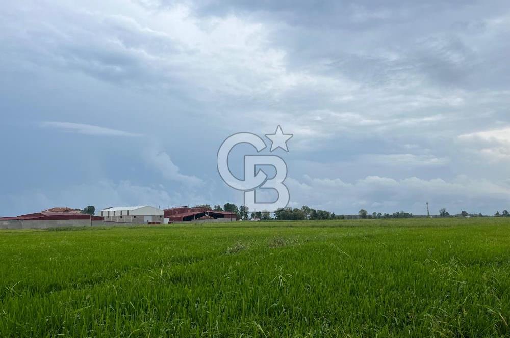 Alaçam Toplu Mahallesi'nde Satılık 17.100 m² Tarla